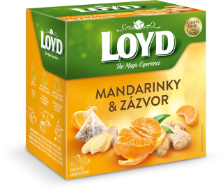 Loyd pyramida Mandarinky & Zázvor 20*2g