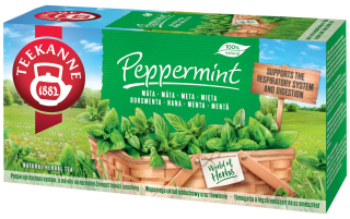 Teekanne Mátový čaj 20x1,5g