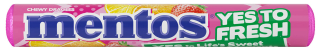 Mentos FRUIT 38g cena za kartonové balení
