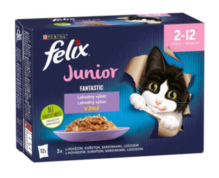 Felix Fantastic 12pack Junior Kuře s Lososem v želé cena za kartonové balení