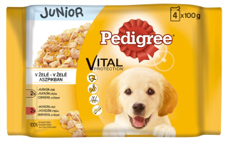 Pedigree kapsička Junior 4pack Mixovaný výběr v želé 4*100g