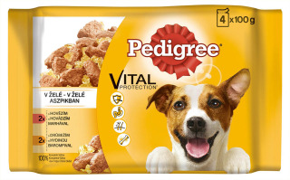 Pedigree kapsička 4pack Hovězí a Drůbeží 4*100g