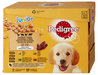 Pedigree kapsička 12pack Junior v želé 12*100g